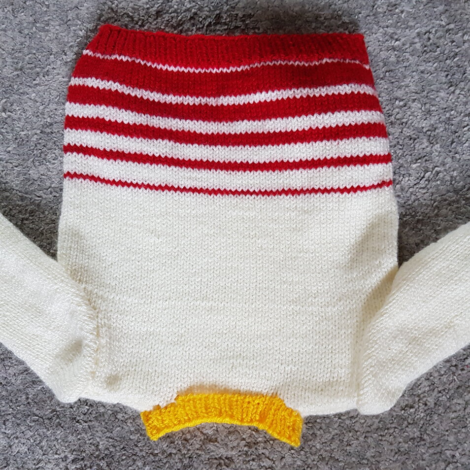 Nala's 4th birthday jumper