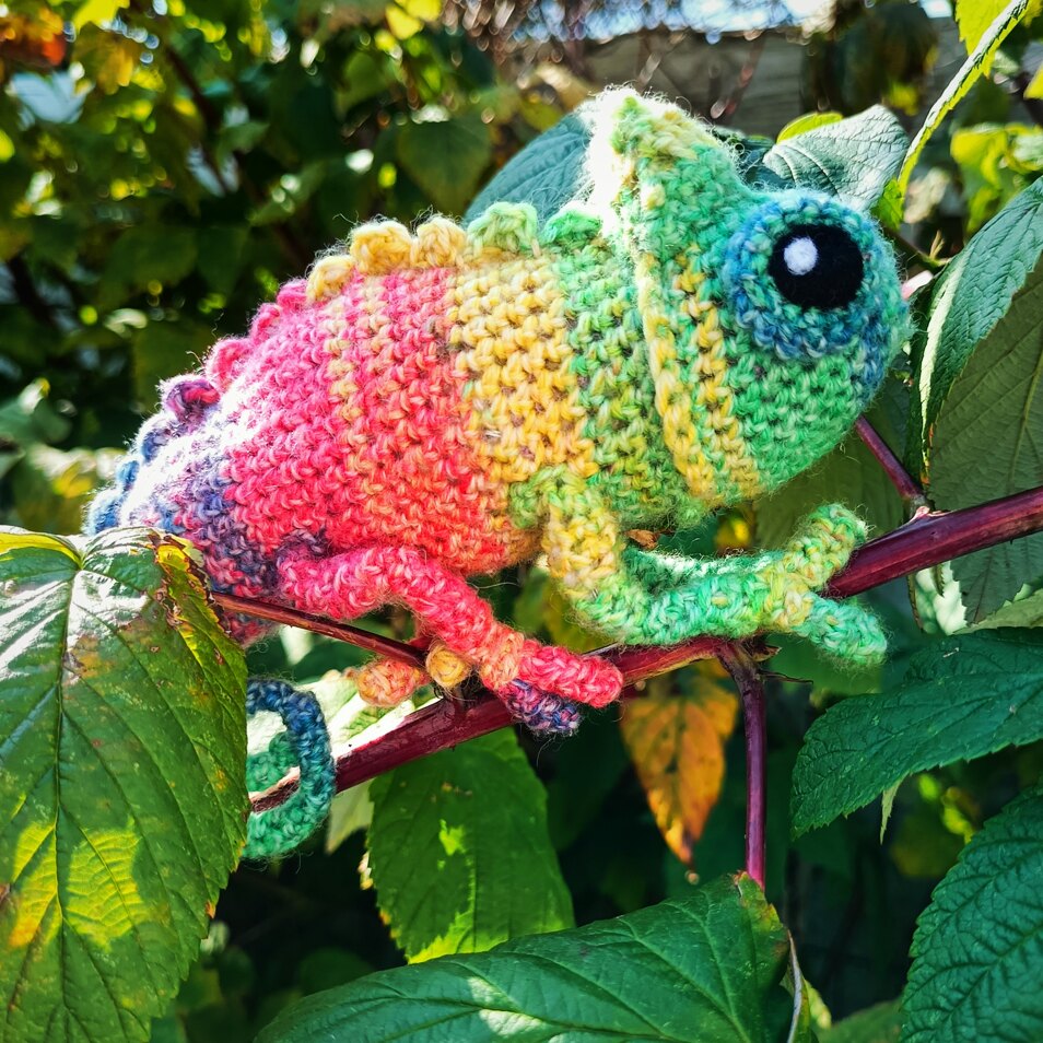 T.C.K. Chameleon