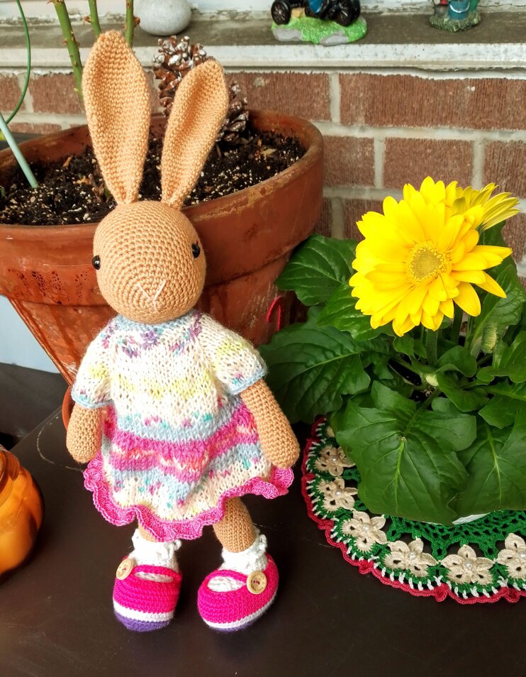 Bunny the Violinist