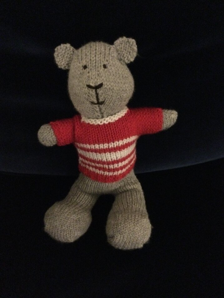Ted bear’s little brother