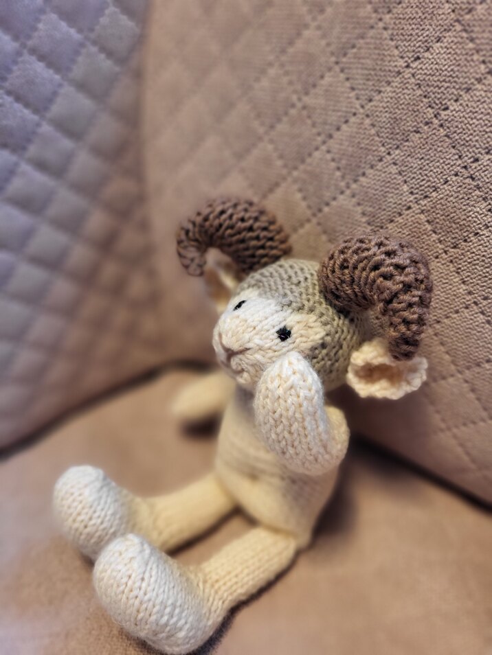 Little Boy Ram