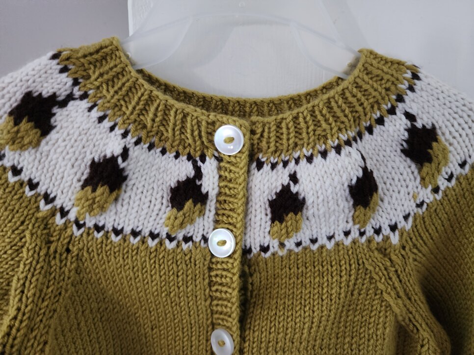 Cardigan with Acorn Yoke