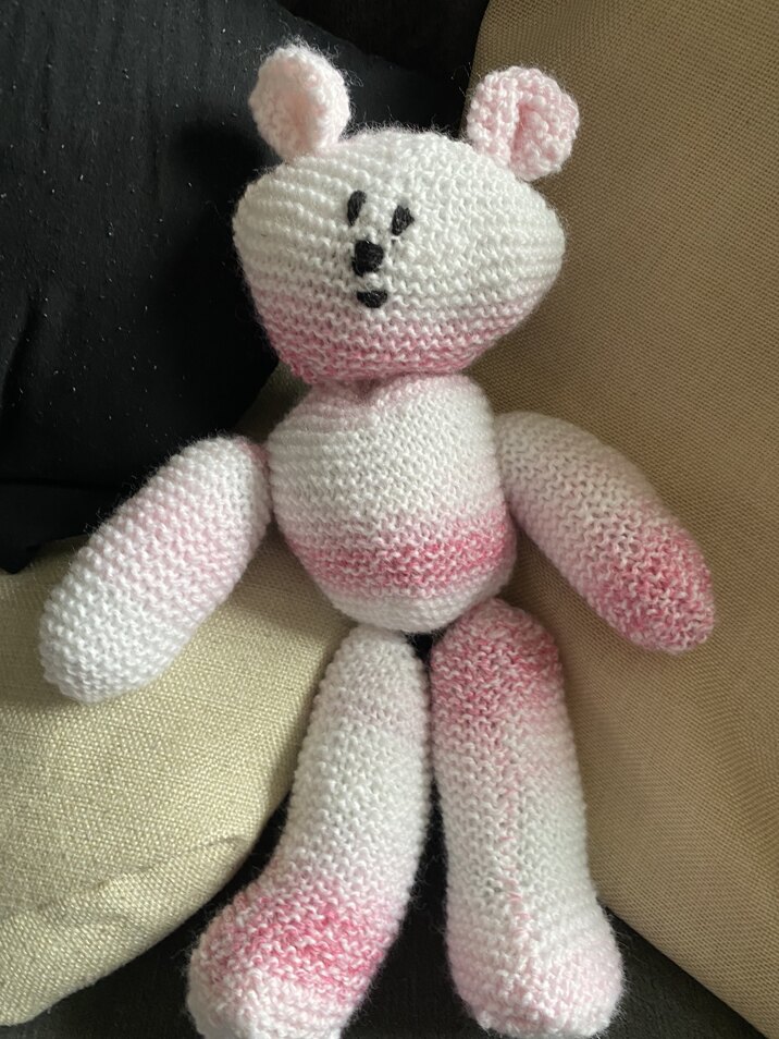 Teddy bear girl
