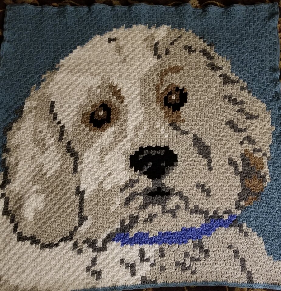 Another pet afghan
