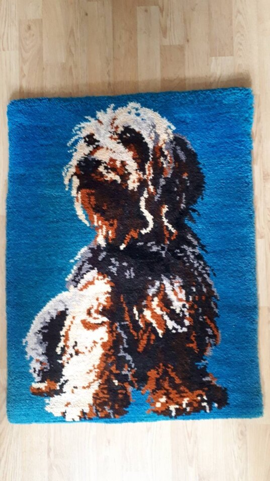 My first rug, Ministeck31885