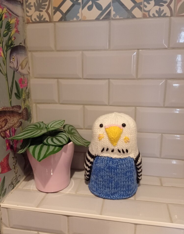 Budgie loo roll cover