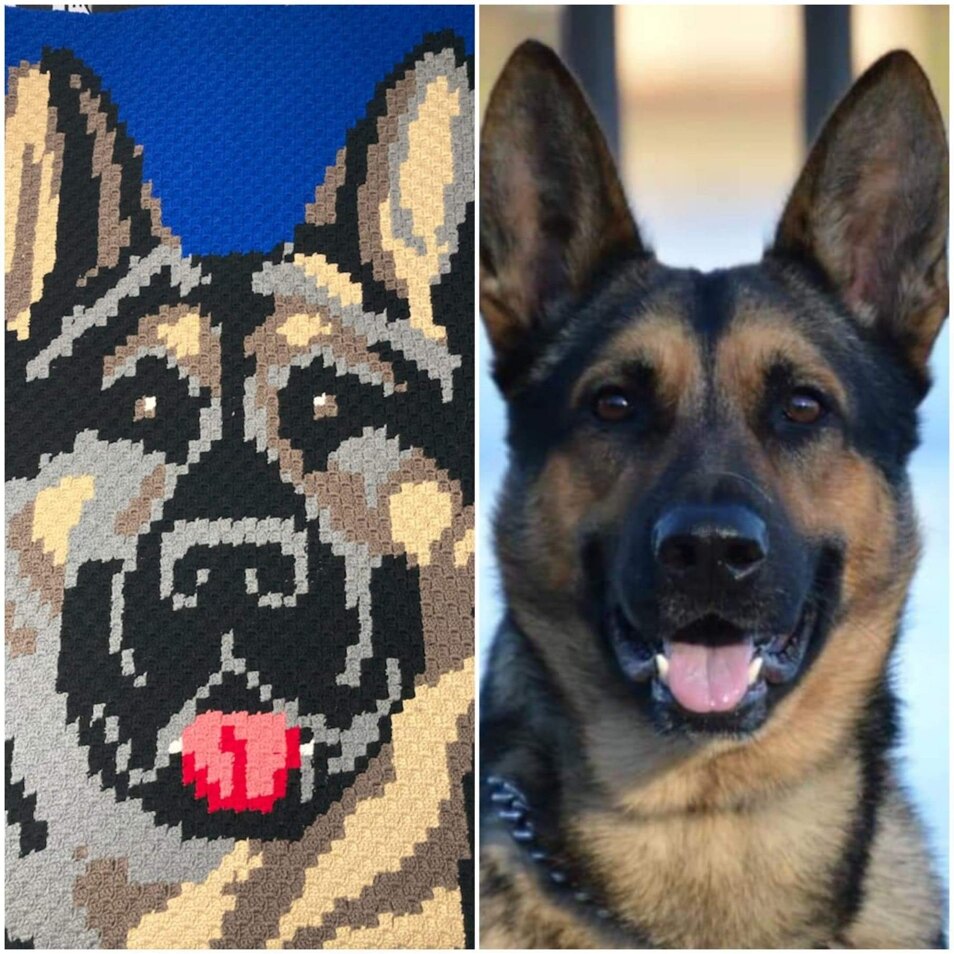 Kobi Blanket