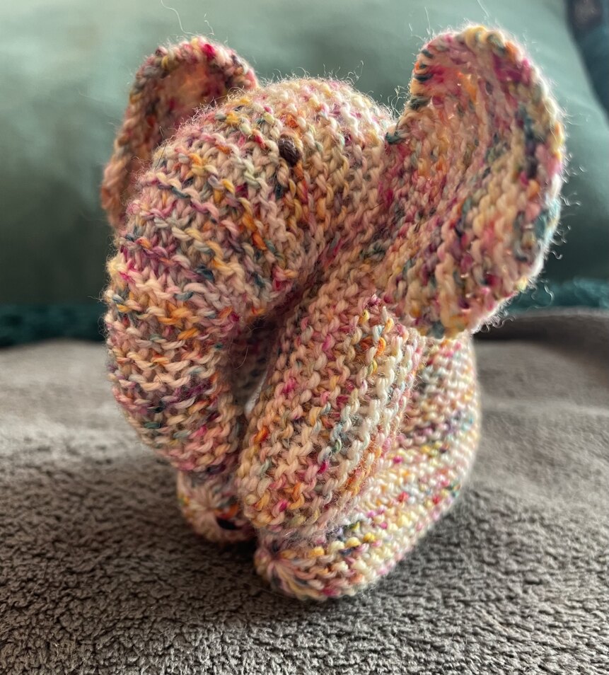 Baby elephant