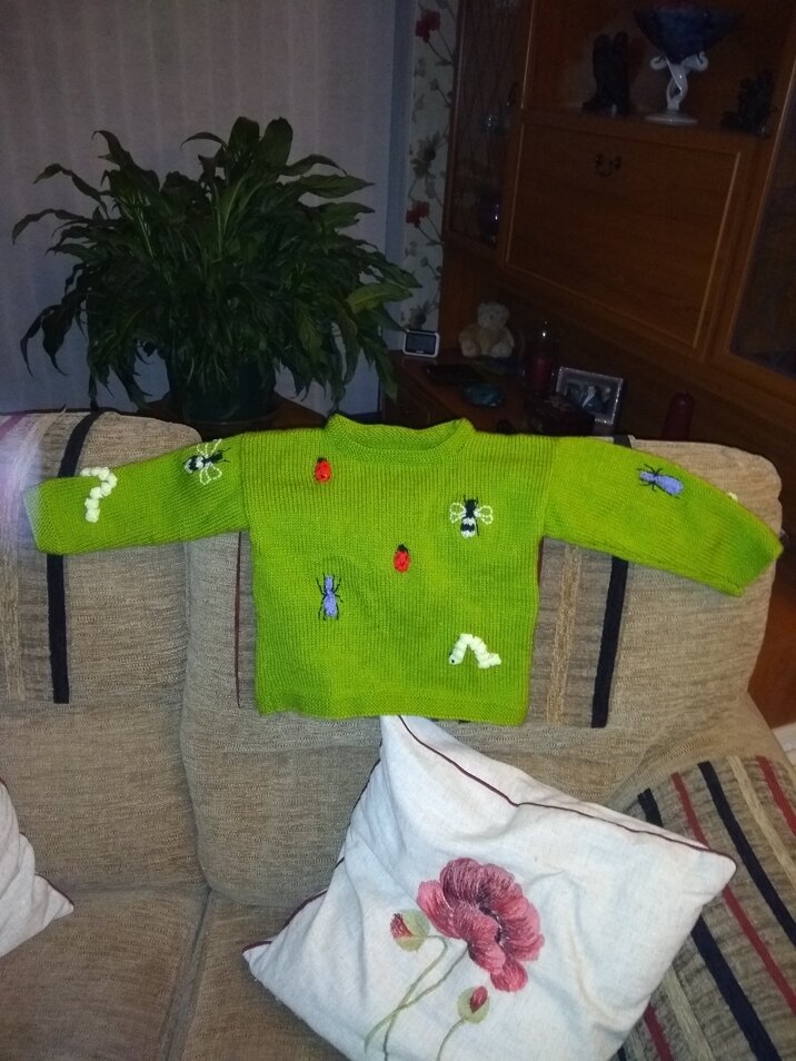 Child's insect jumper