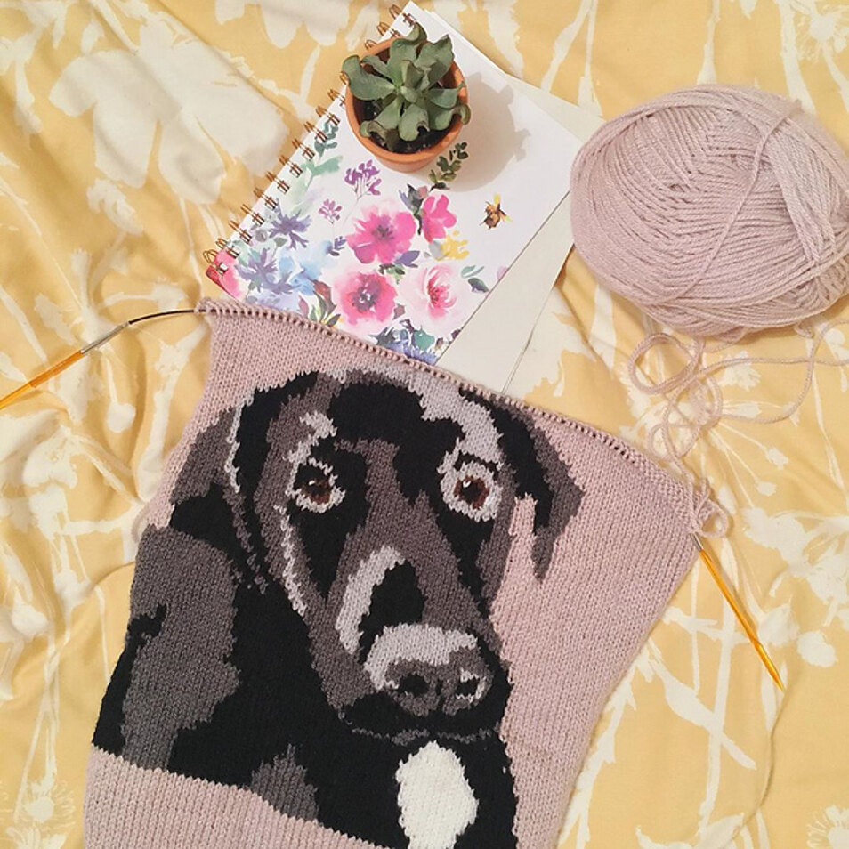 Labrador Cushion Cover