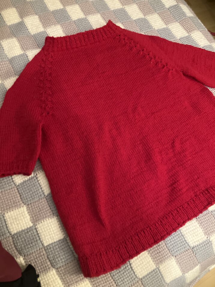 Short sleeve sweater