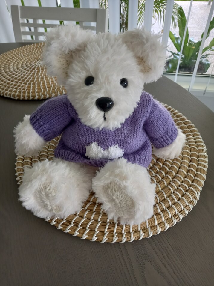 Wee teddy
