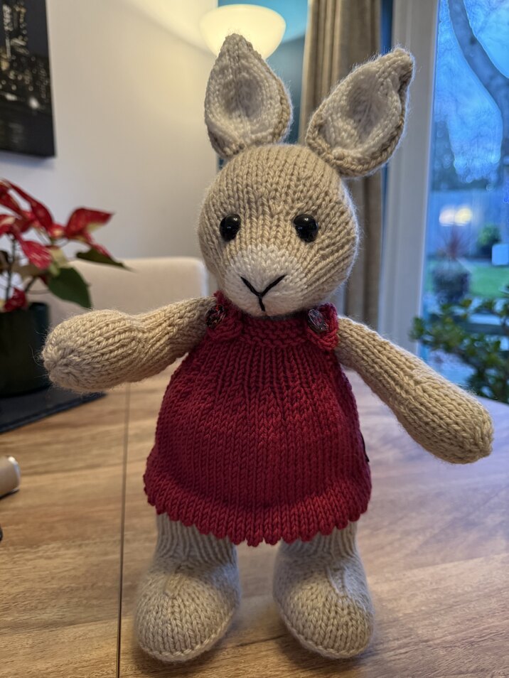 Tash’s Bunny