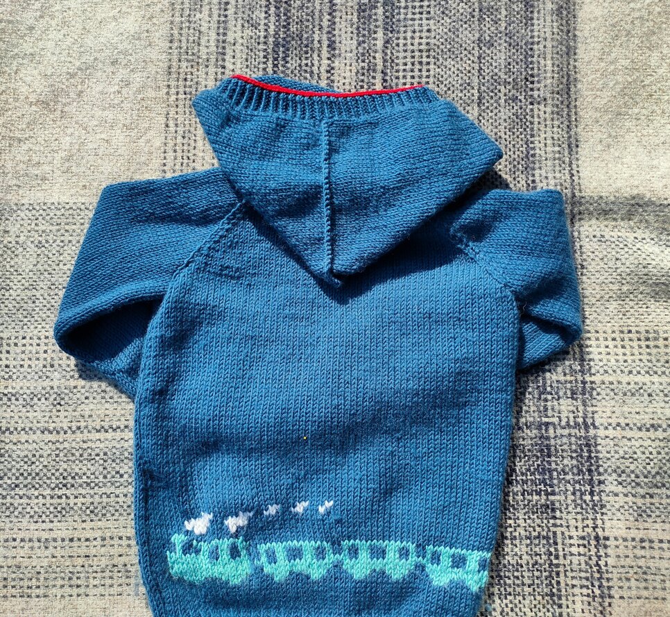 Train hoodie