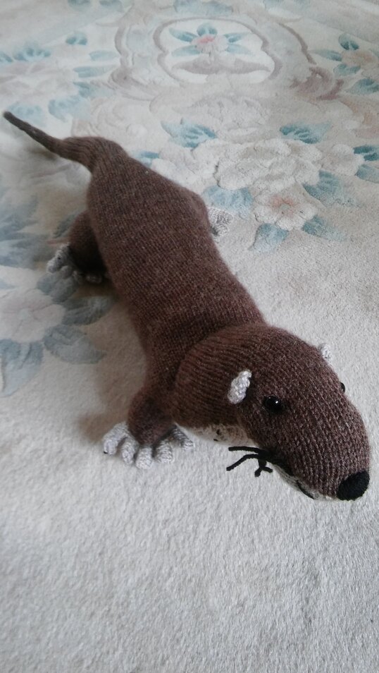 Otter woodland animal