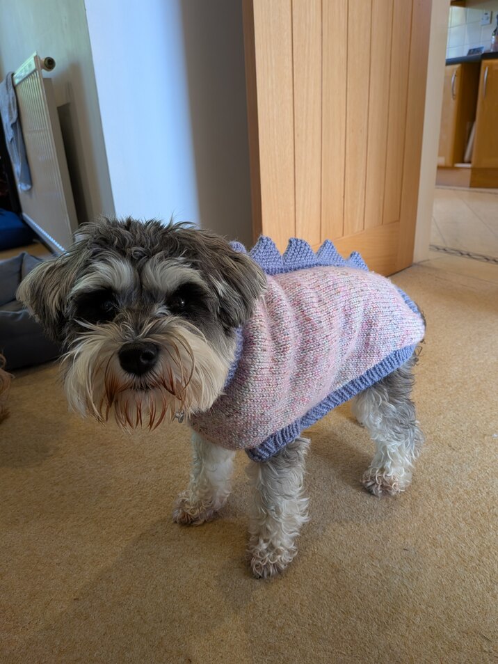 Christmas jumper number two hundred and twenty six
