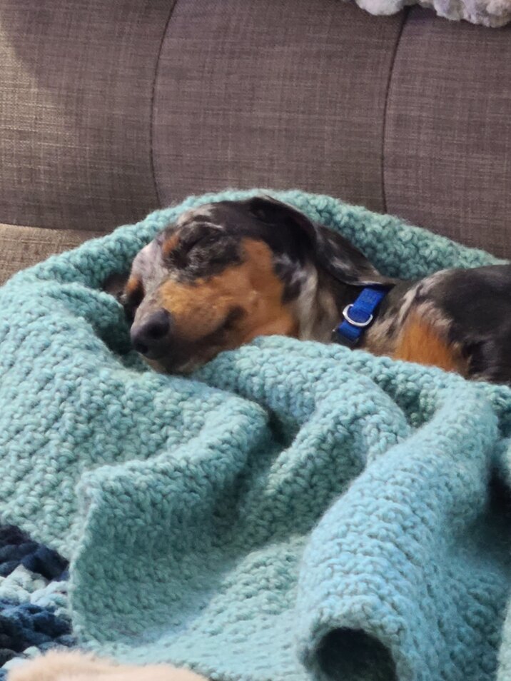 Crochet Snuggle Pet Blanket