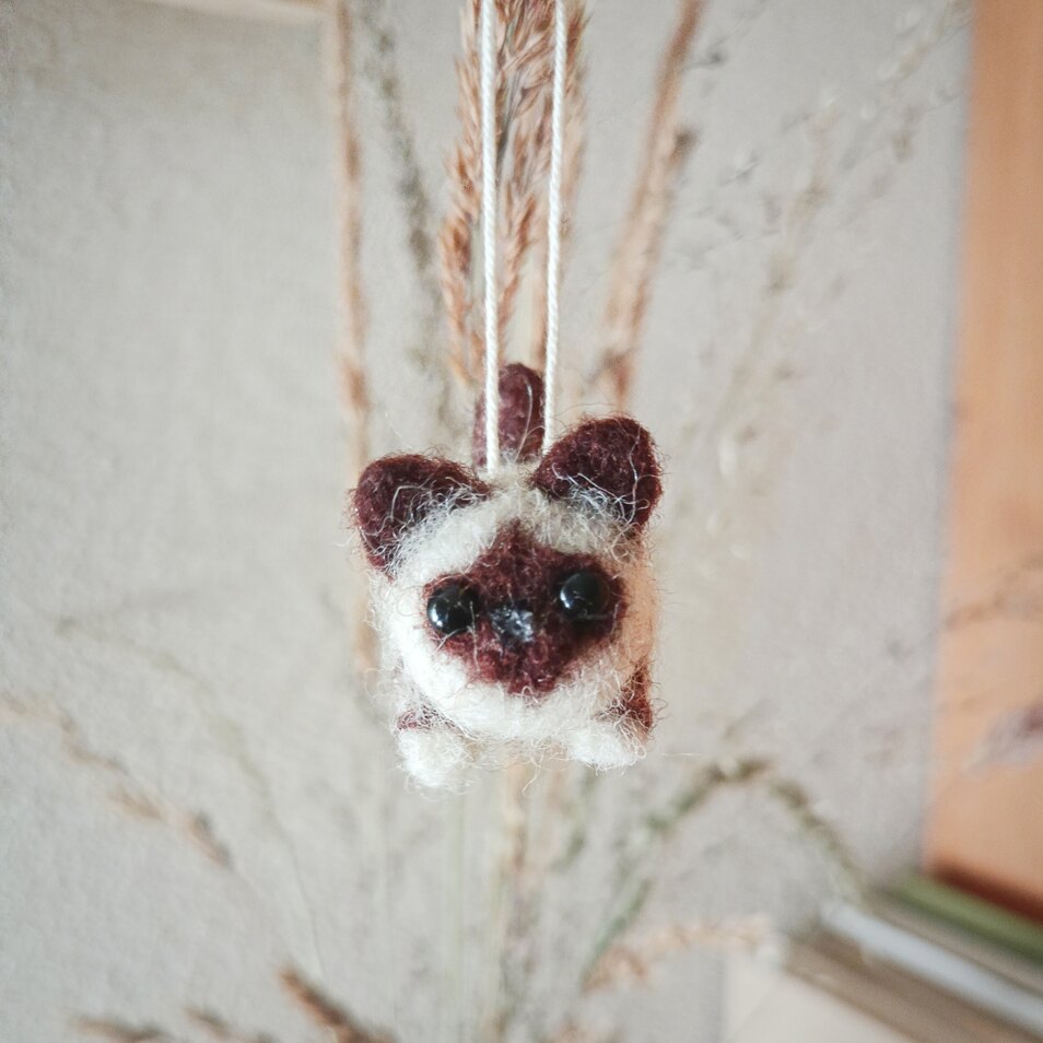 Fabian the mini cat