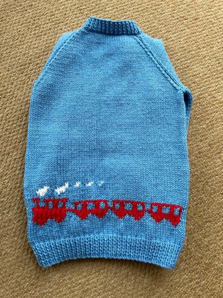 Train Jumper