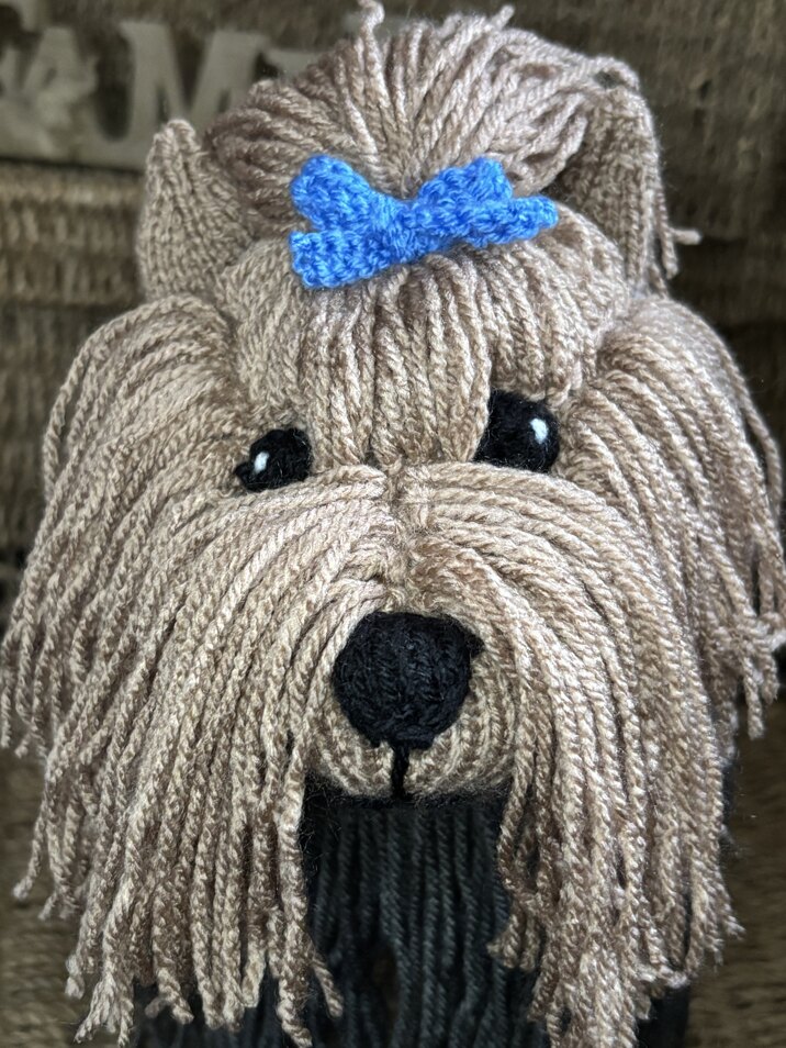 Yorkie