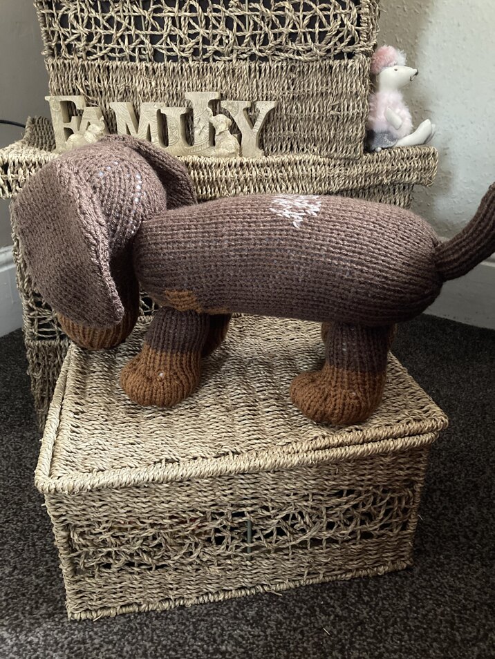 Stanley Dachshund