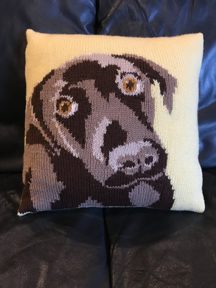 Bodhi and Banjo Cushion