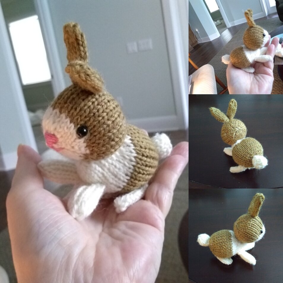 Henry the Dutch Bunny