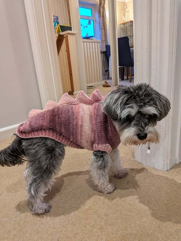 Christmas jumper number two hundred and twenty