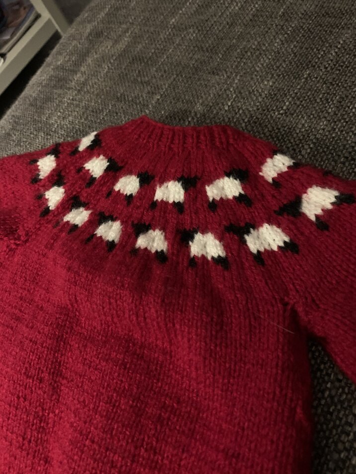 Cardigan - welcome to the flock