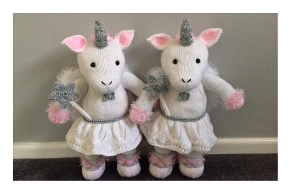 Unicorn Fairy Twins