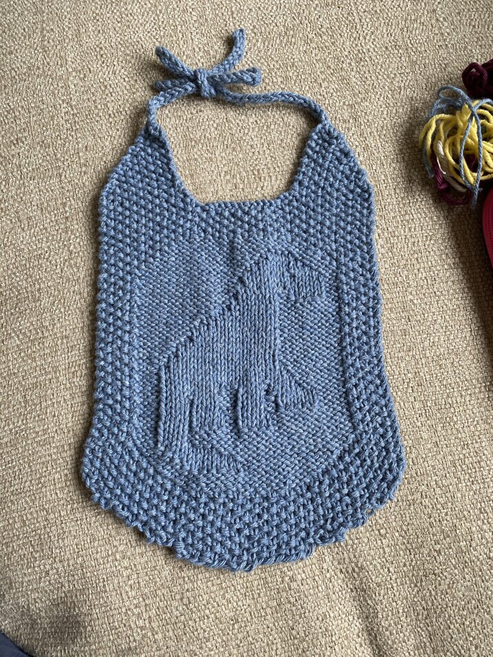 Baby Dino Bib