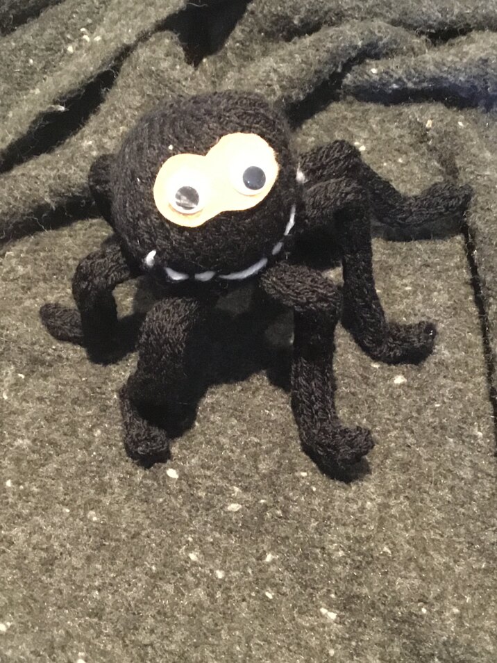 Spider for Sara
