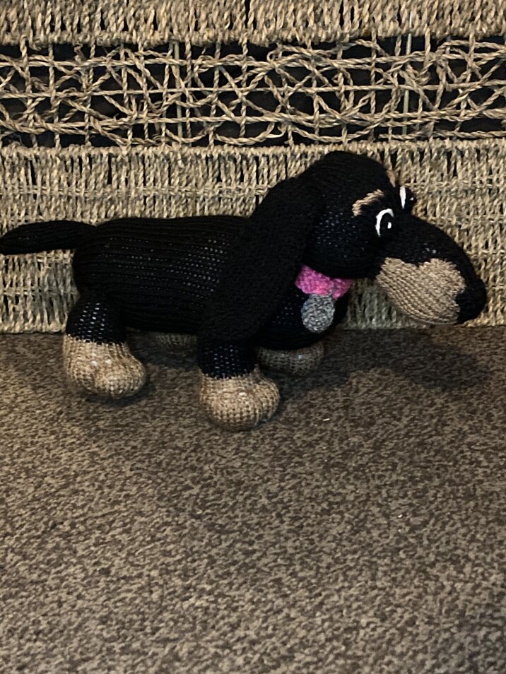 Small Dachshund