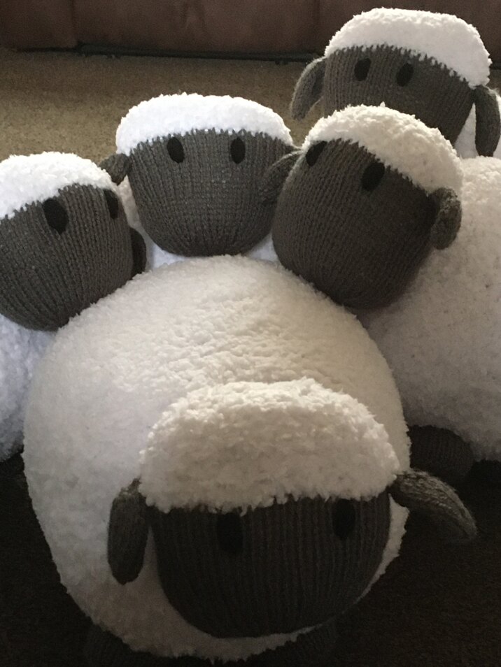 Brenda the Sheep