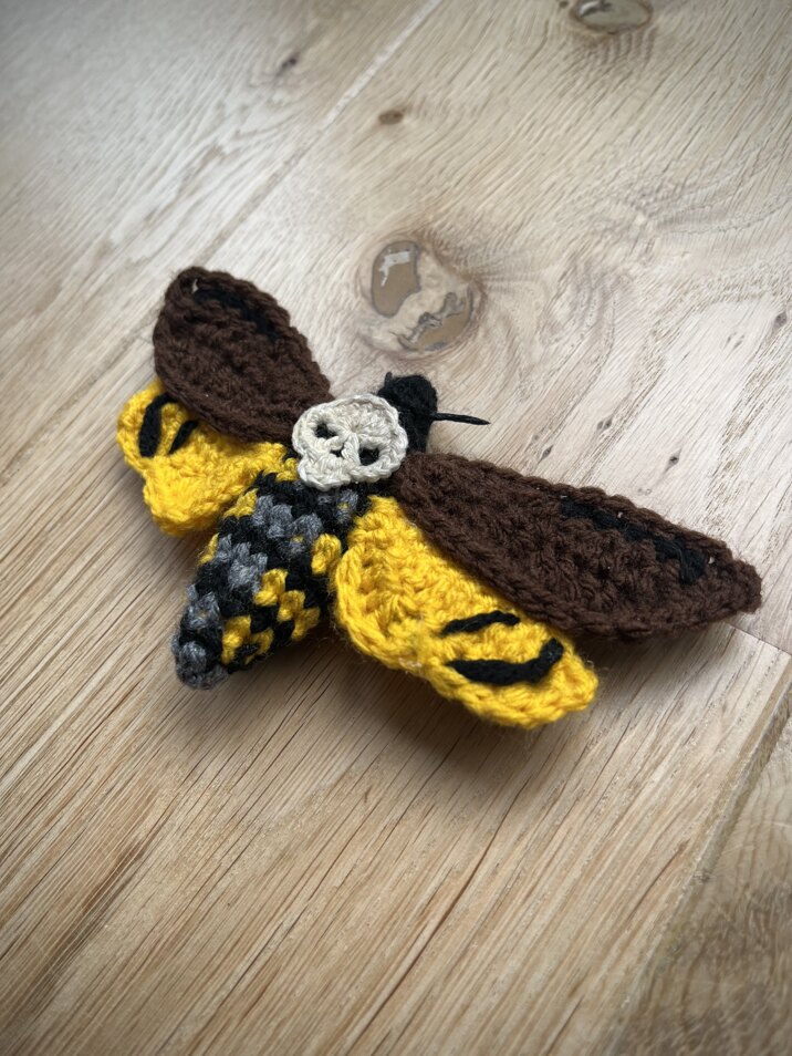 Death's-head hawkmoth