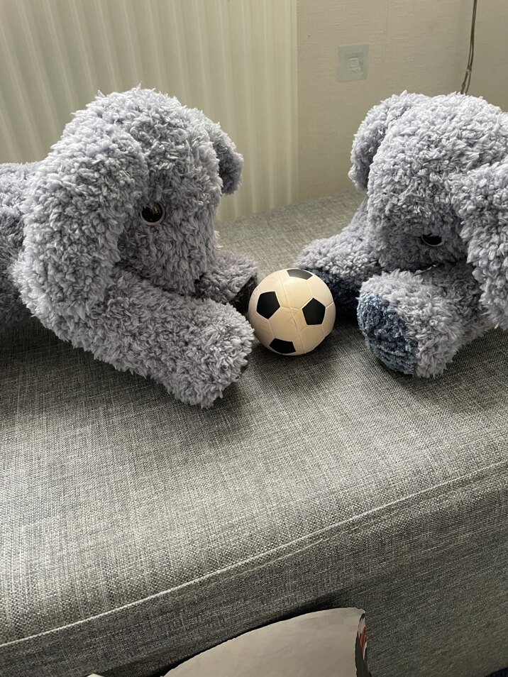 Baby “Bertie” Twins - both now at their new homes