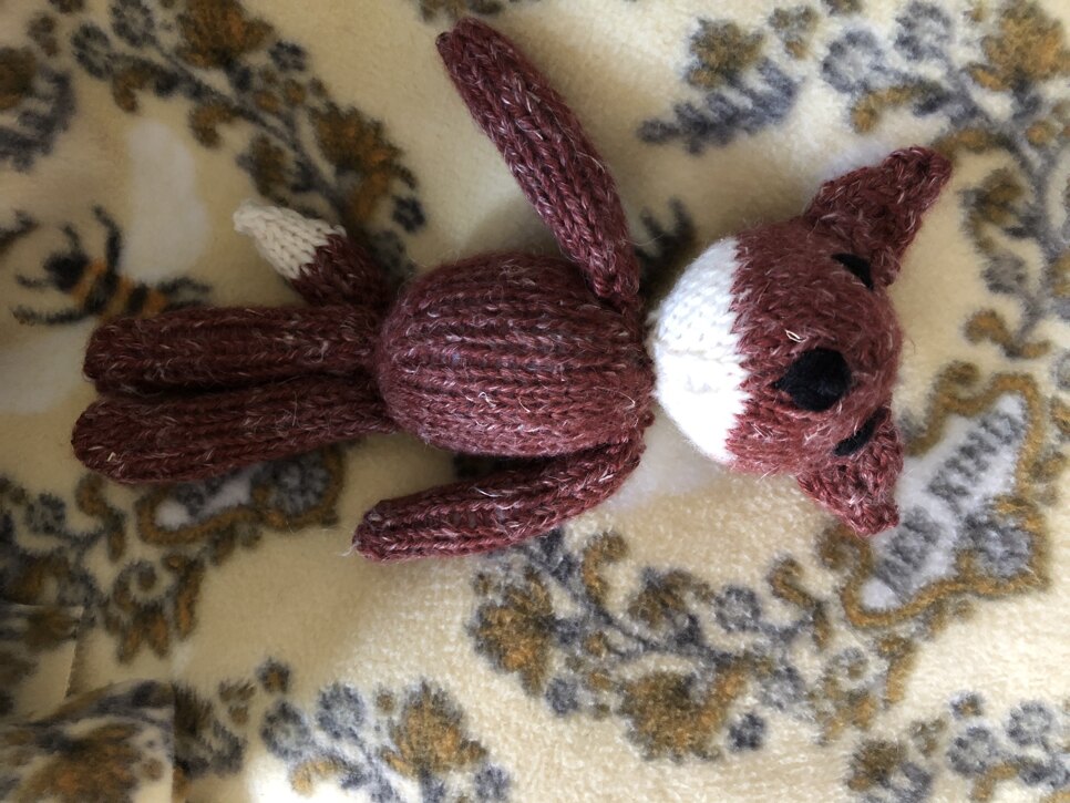 fox for lucy