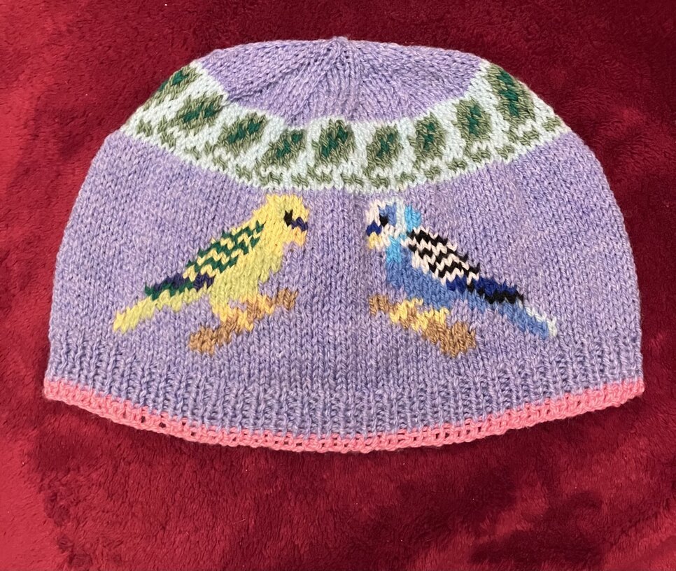 Budgie Bird Hat