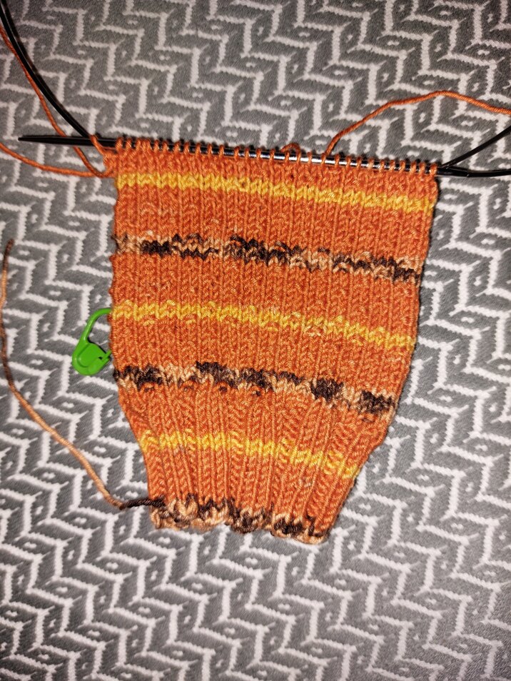 Hermione's Everyday Papaya Socks