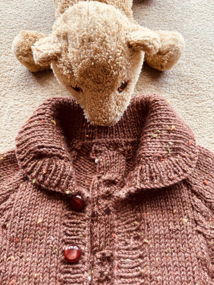 Aran cardigan for my Grandson Alex