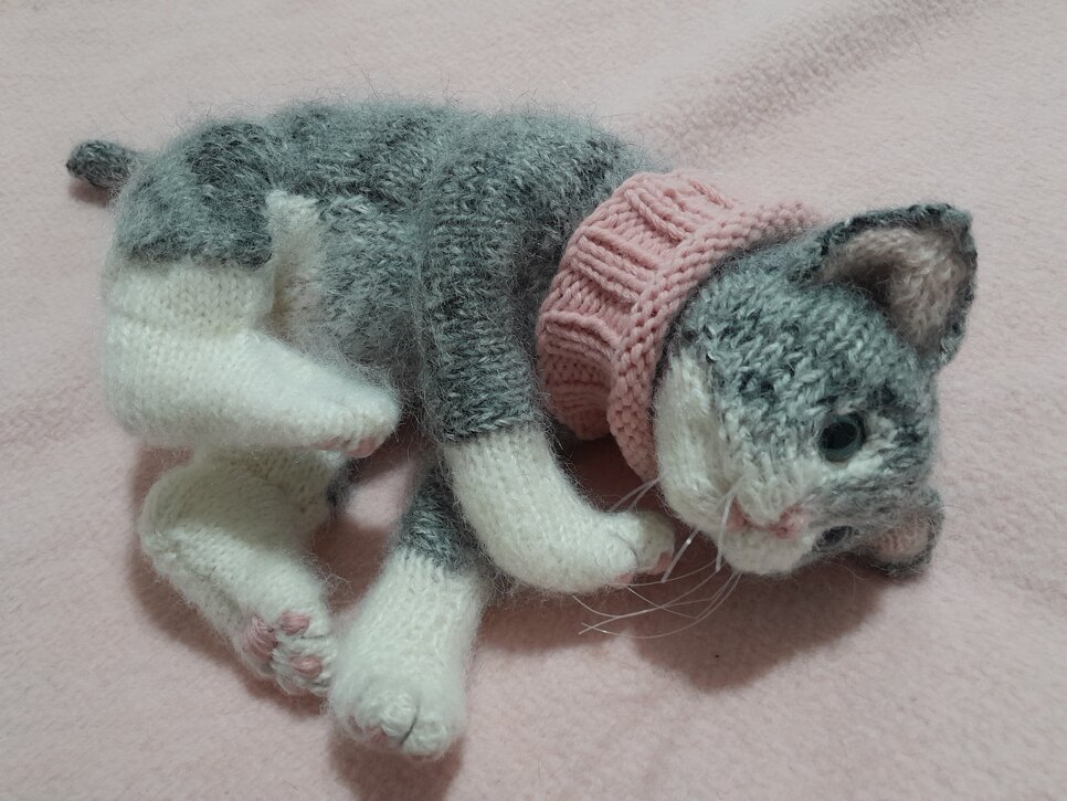 New Little Kitten