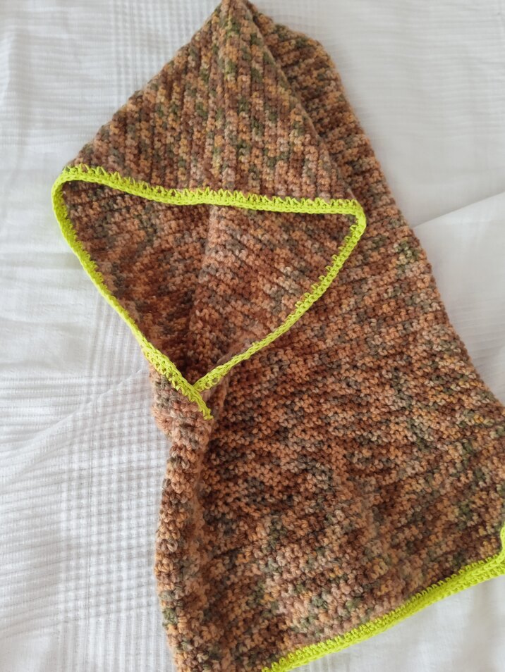 cowl with a hood