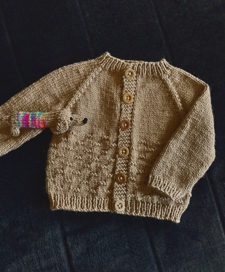 Small sausage dog &amp; Cameron baby cardigan